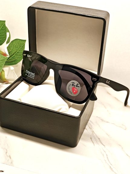 Ray-Ban Polarised Matte Black Exclusive Sunglass
